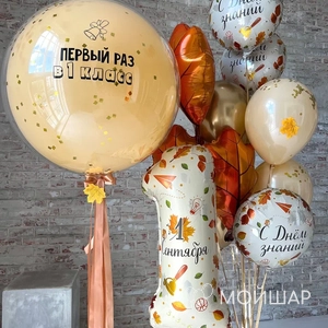 Воздушные шары с гелием на День знаний